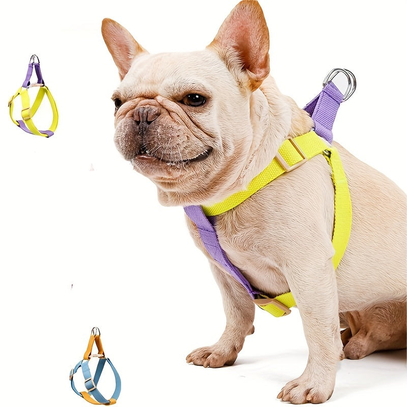Discover the Perfect Pet Rainbow Colorblock Harness Set