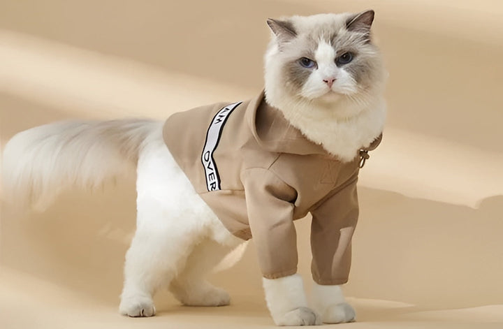 Dress Your Pets Comfortably With Stylish Outfits