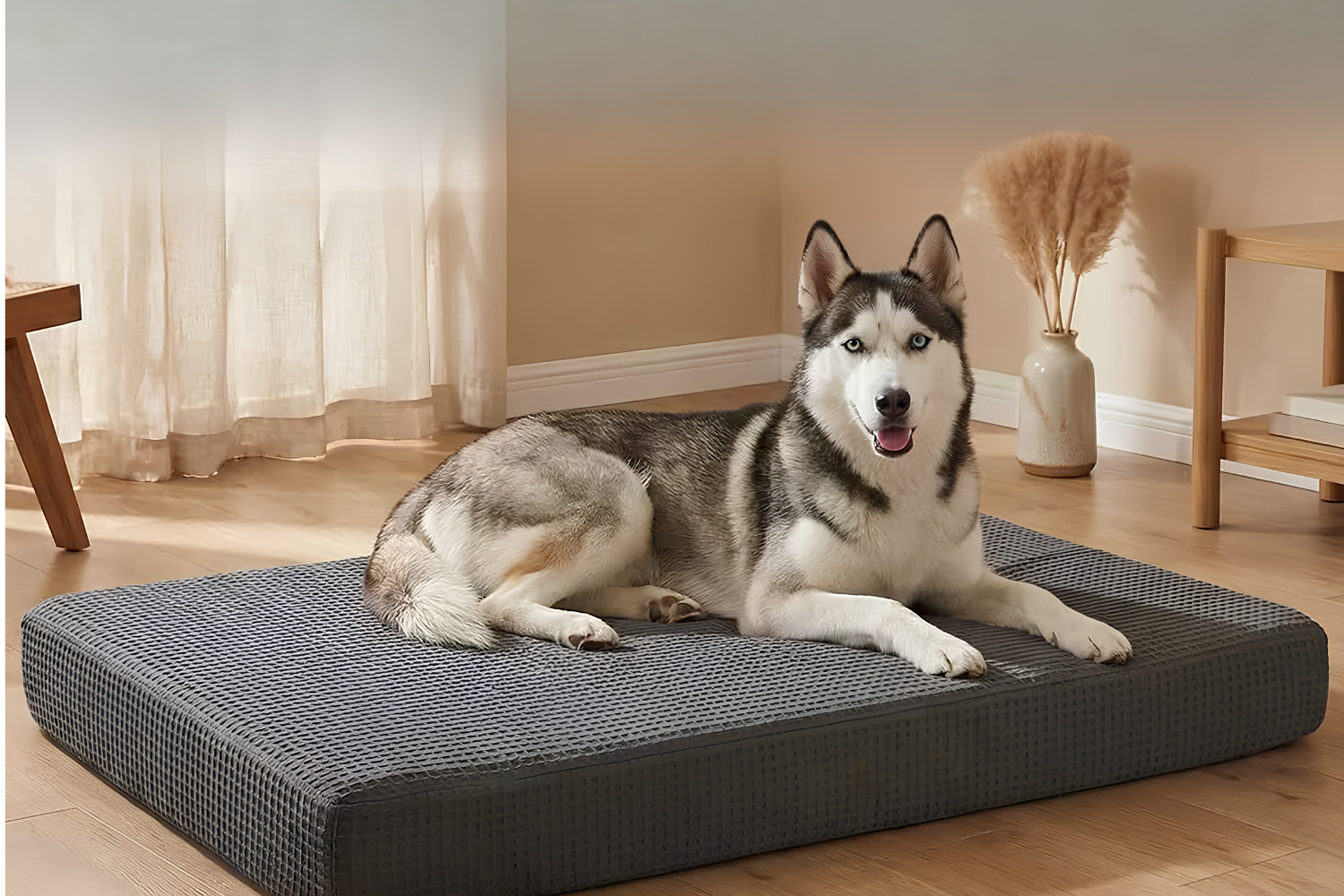 Better Sleep With Comfortable Cozy Pet Beds