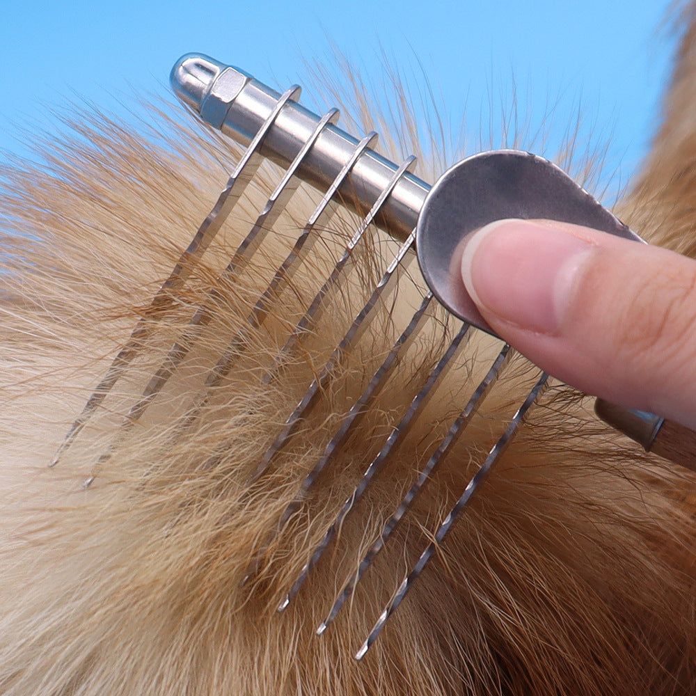 Why Your Pet Deserves the Best Grooming Experience